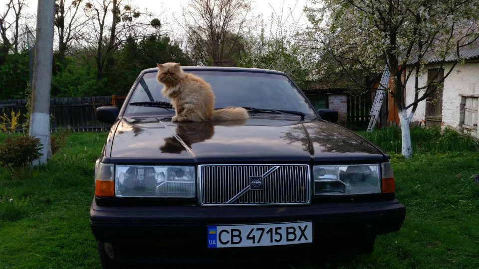 Volvo 940 Вовчара 2