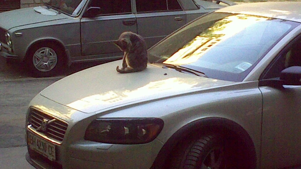 Volvo C30 2.4i 4