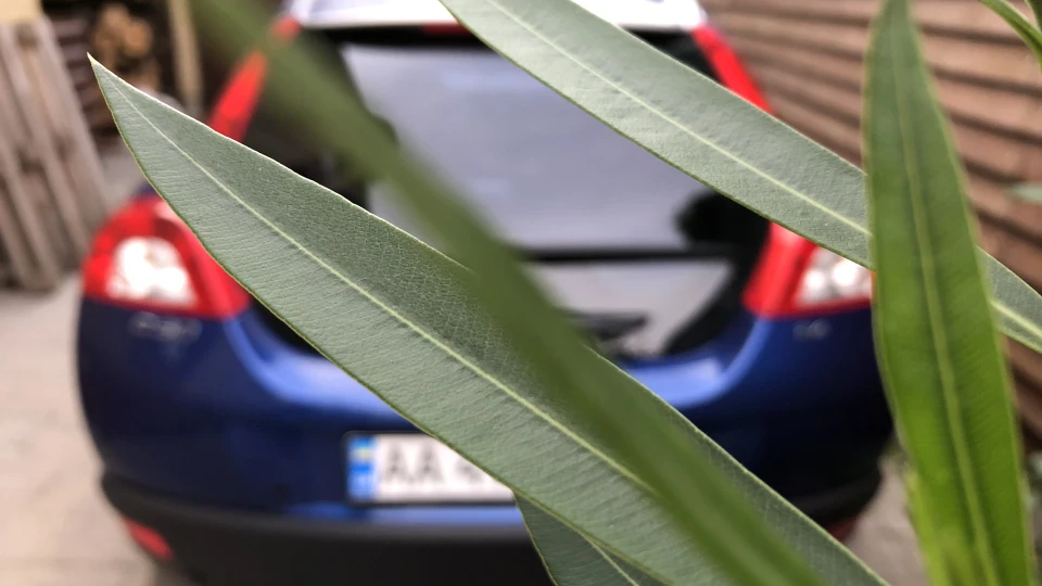 Volvo C30 Wolfgang 2