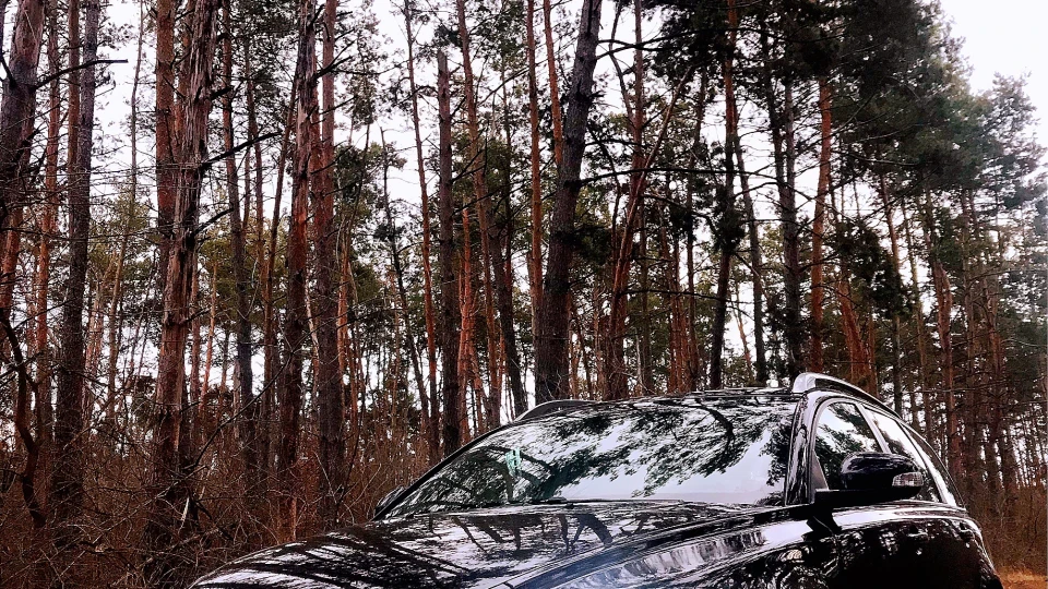 Volvo V50 1.6tdi Моя Шведка 3