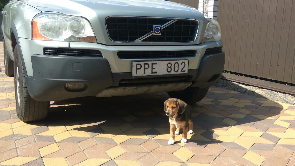 Volvo XC90