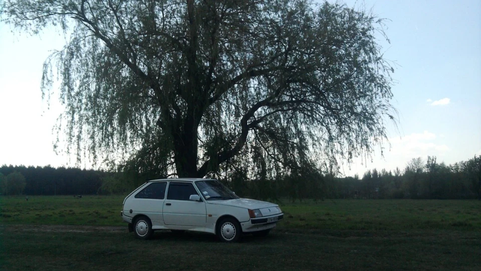 ЗАЗ 1102