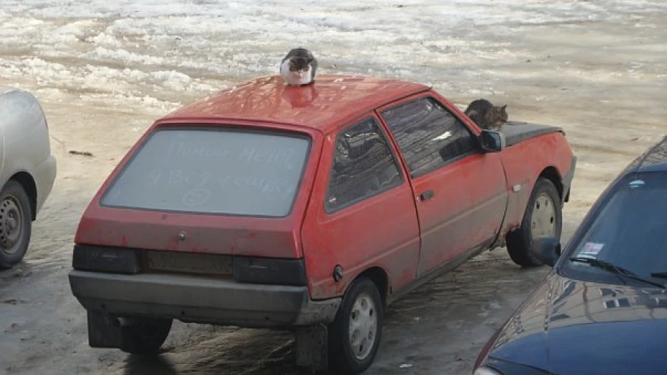 ЗАЗ 1102 4