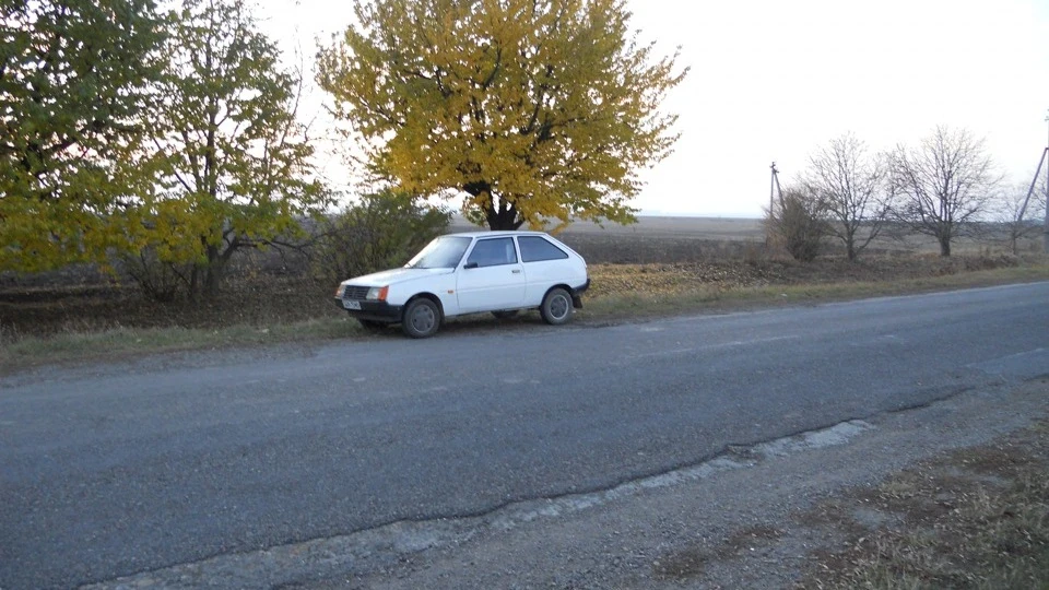 ЗАЗ 1102