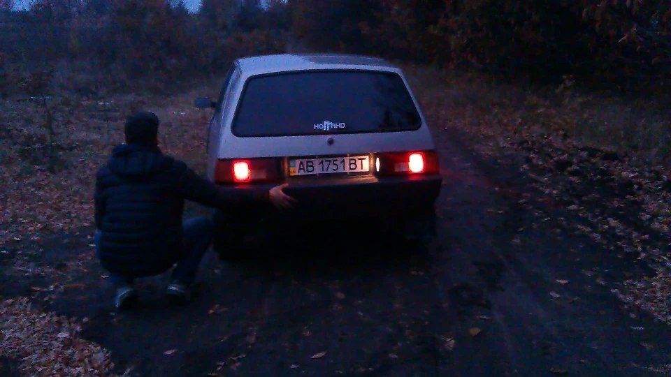 ЗАЗ 1102 110247 срібло 4
