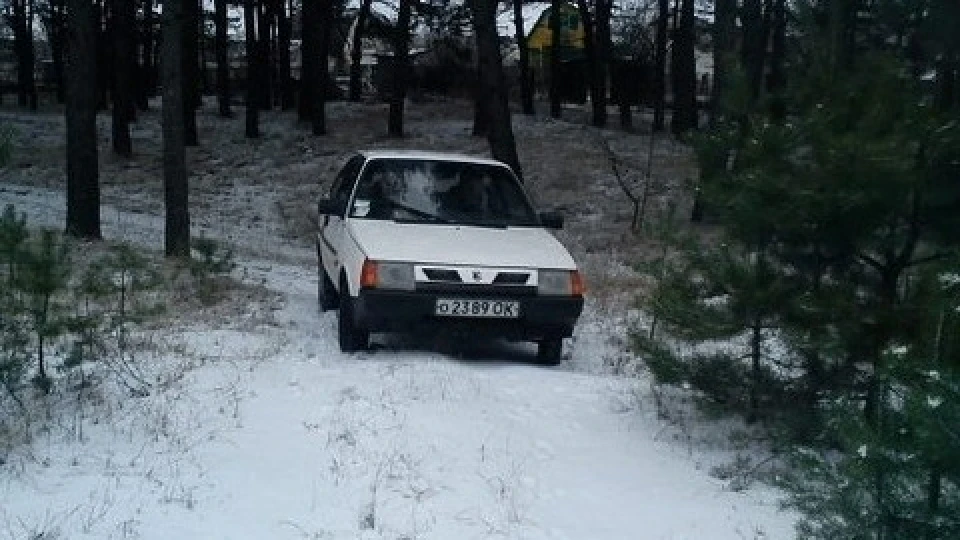 ЗАЗ 1102 Біла