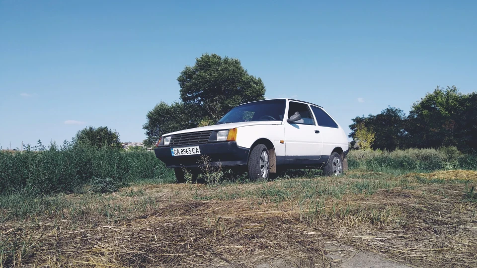 ЗАЗ 1102 білий тавроле) 3