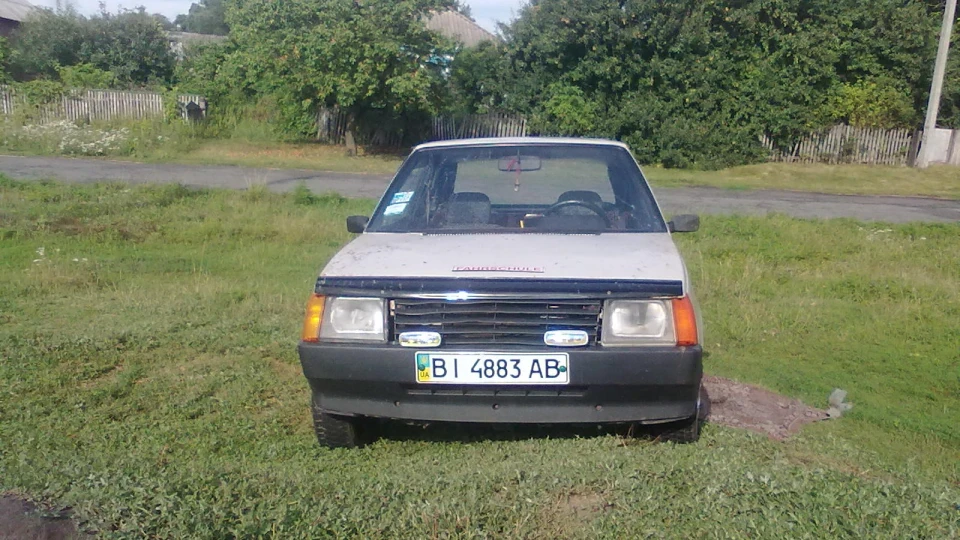 ЗАЗ 1102 Бежевий Дракончик 4
