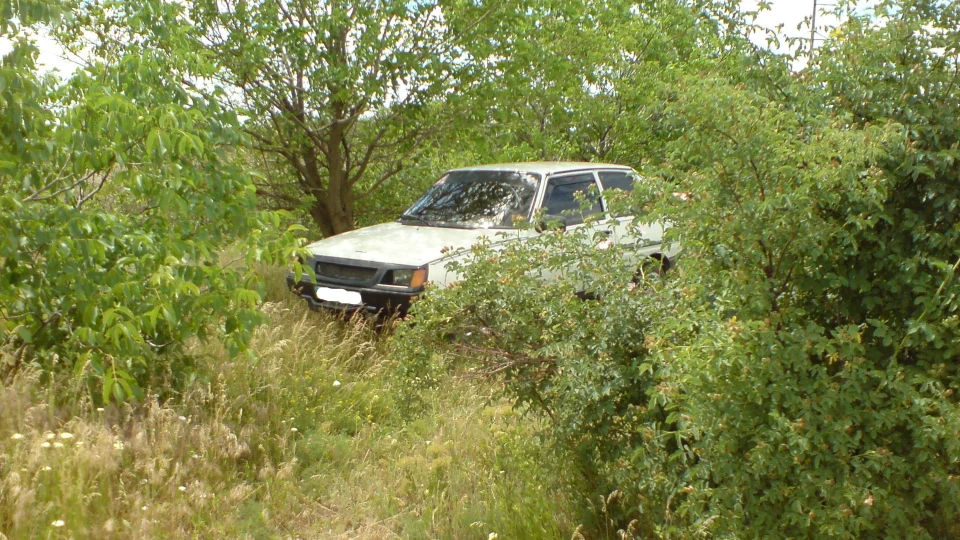 ЗАЗ 1102 Чорноока Чаєчка