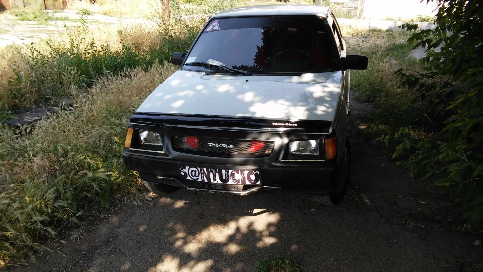 ЗАЗ 1102 Чорноока Чаєчка 3