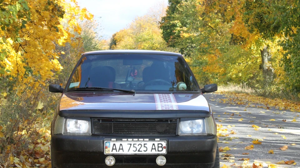 ЗАЗ 1102 Гранатова 🇺🇦 4