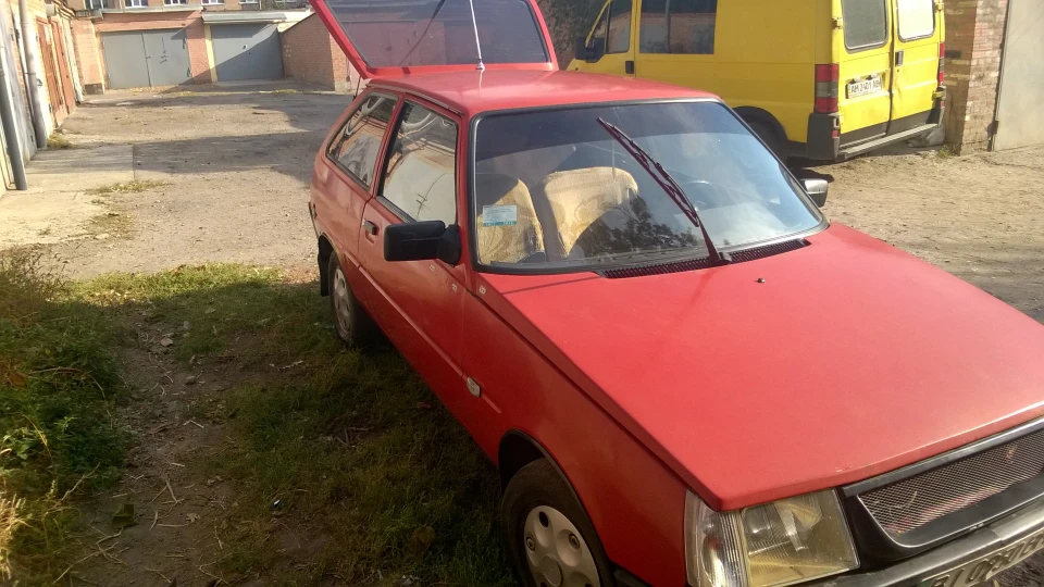 ЗАЗ 1102 Рудий кіт 3