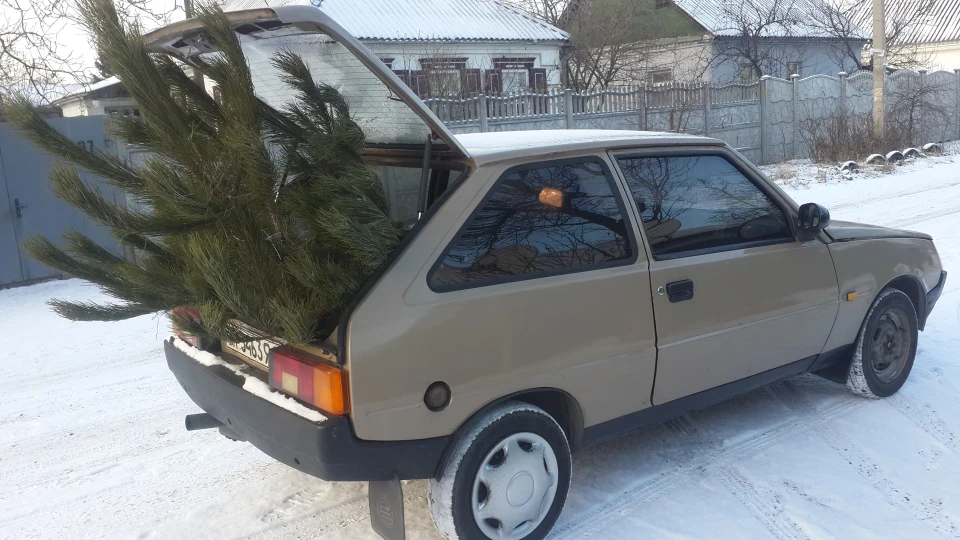 ЗАЗ 1102 Таврончик 3