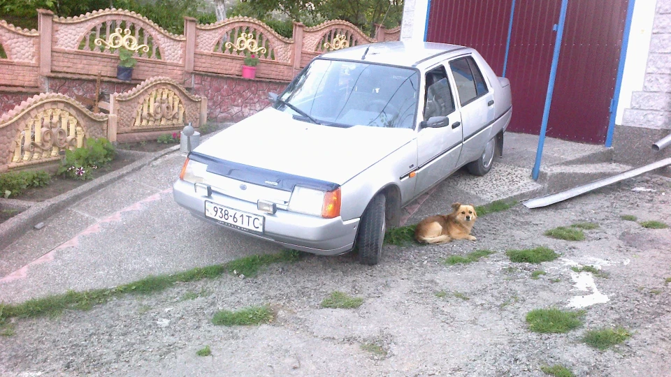 ЗАЗ 1103