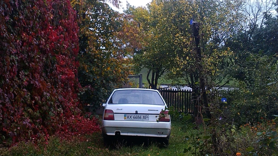 ЗАЗ 1103 1,2 карб 3