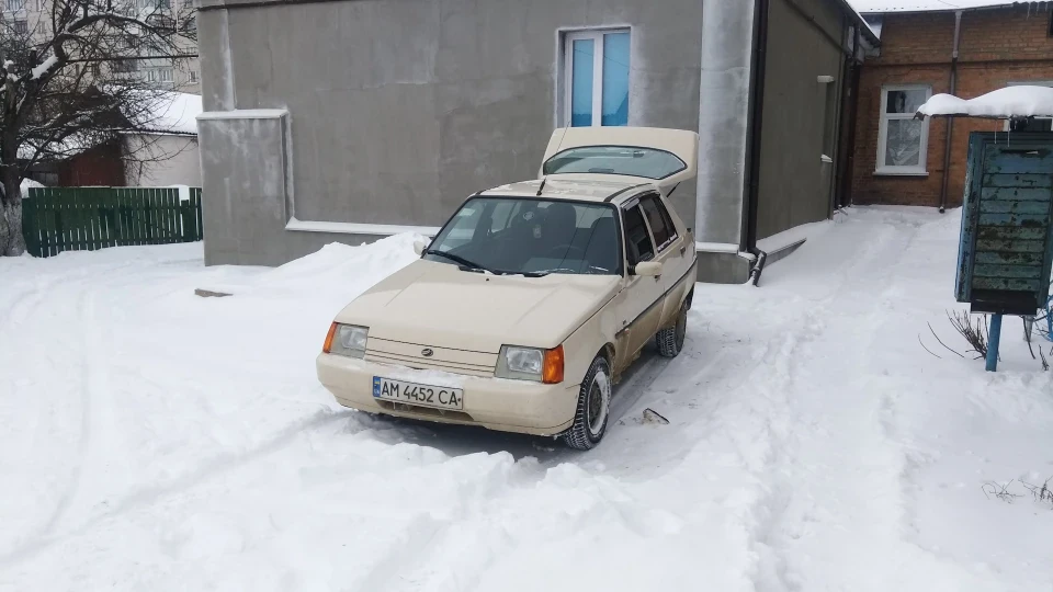 ЗАЗ 1103 Бежева ластівка 3