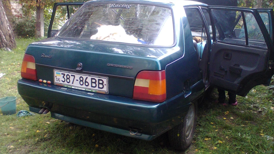 ЗАЗ 1103 черепашка 5