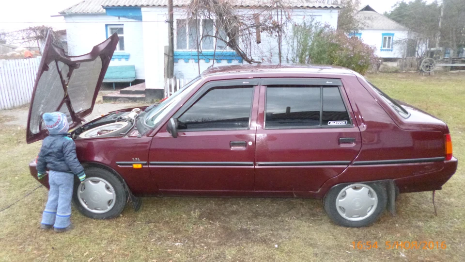 ЗАЗ 1103 Гнила вишня) 3