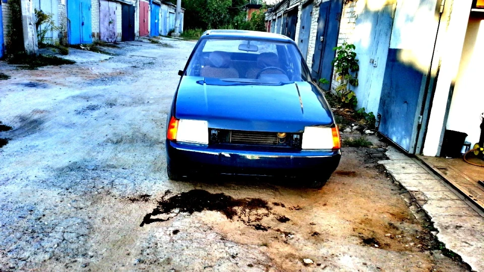 ЗАЗ 1103 ЗЕЛЕНА ЧАЙКА 3
