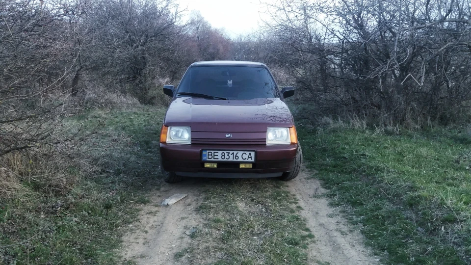 ЗАЗ 1103 Червоний металік 2