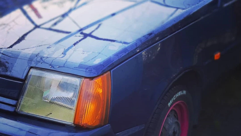 ЗАЗ 1103 Мері🚗 3
