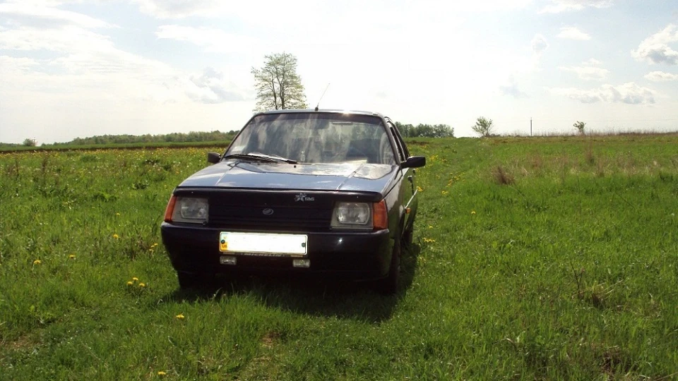 ЗАЗ 1103 Sauber 5