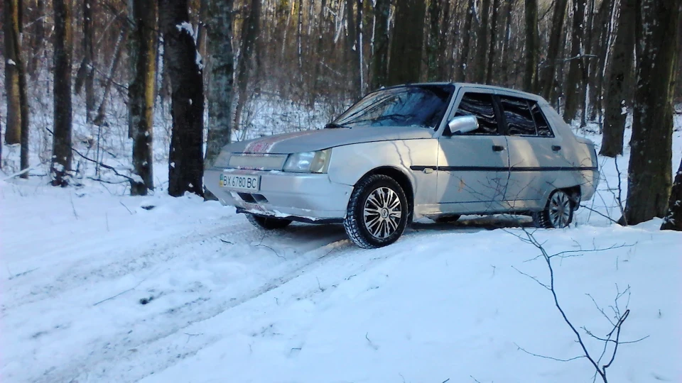 ЗАЗ 1103 - Silver METALLIK 2
