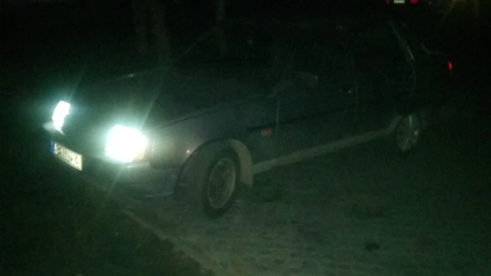 ЗАЗ 1103 Silver 3