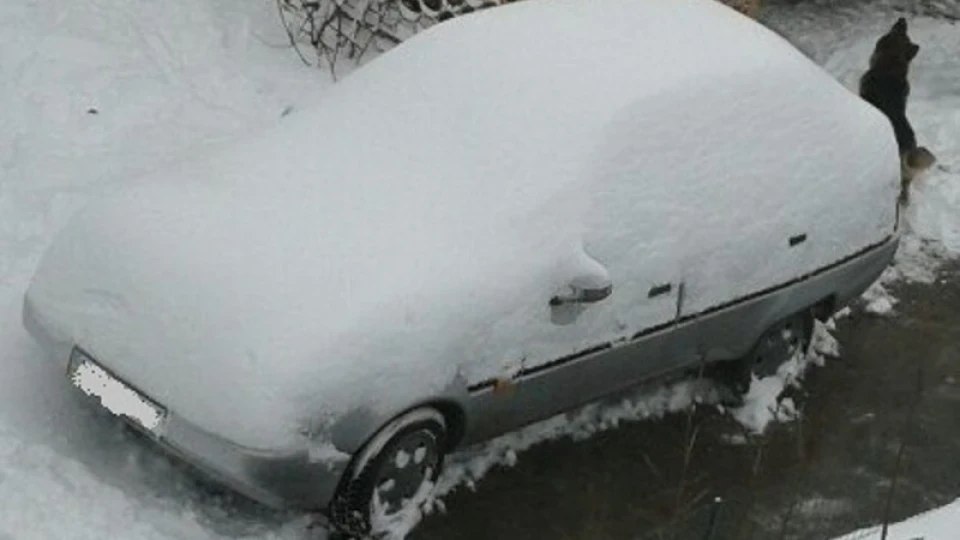 ЗАЗ 1103 Славік