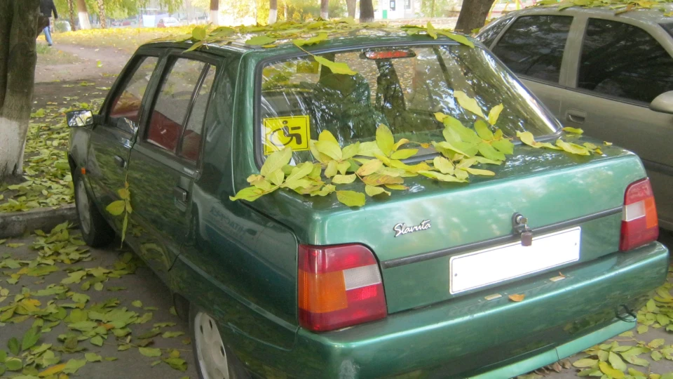 ЗАЗ 1103 Славута