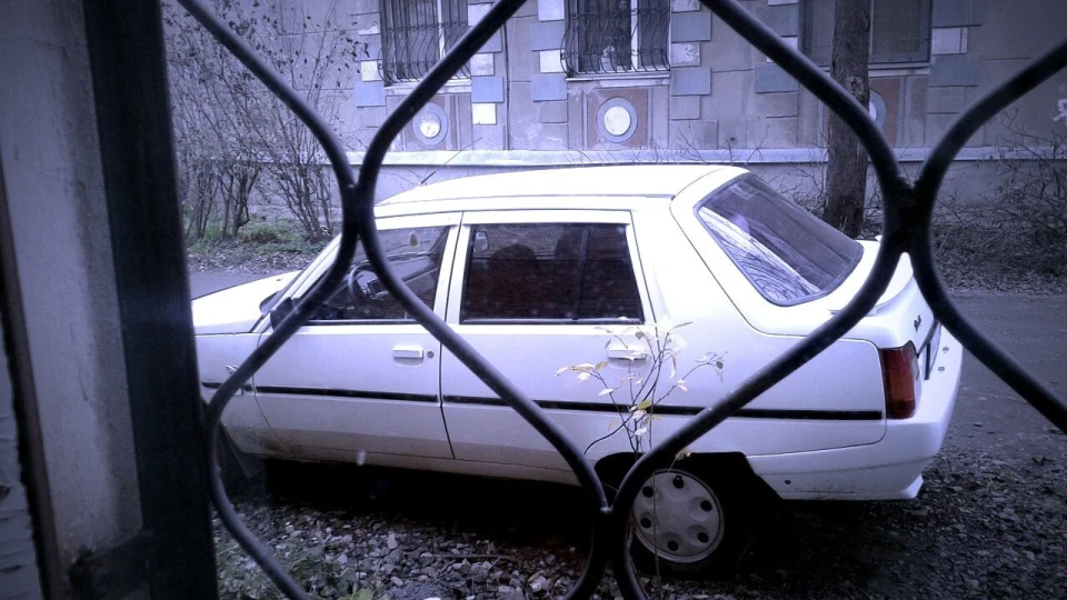 ЗАЗ 1103 Собака 2