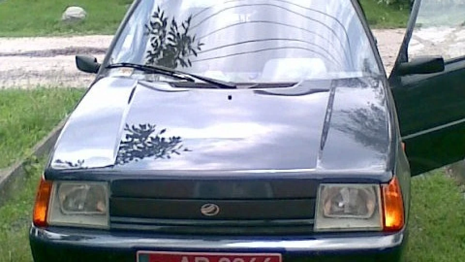 ЗАЗ 1103 Вовк одинак 4