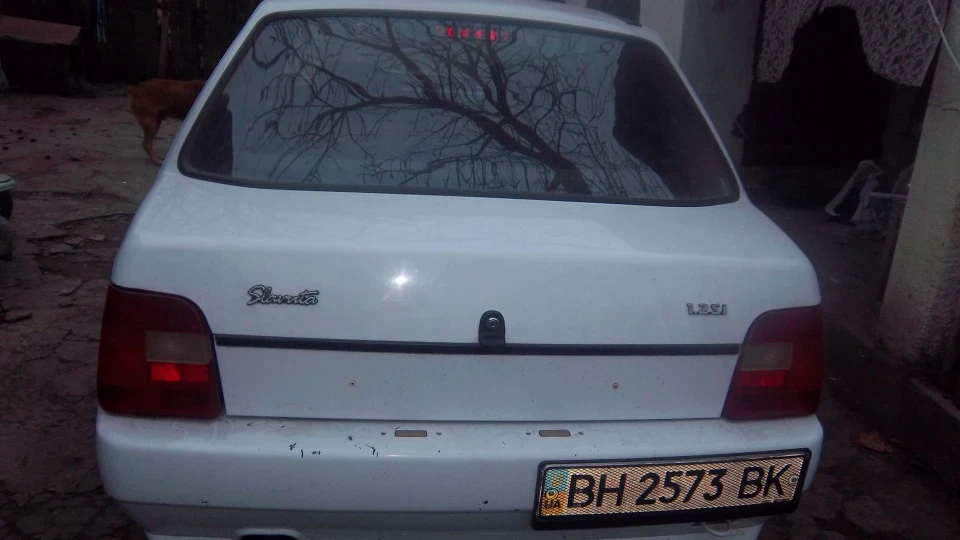 ЗАЗ 1103 Біла Сволота 5