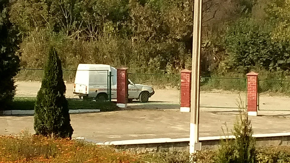 ЗАЗ 1105 3