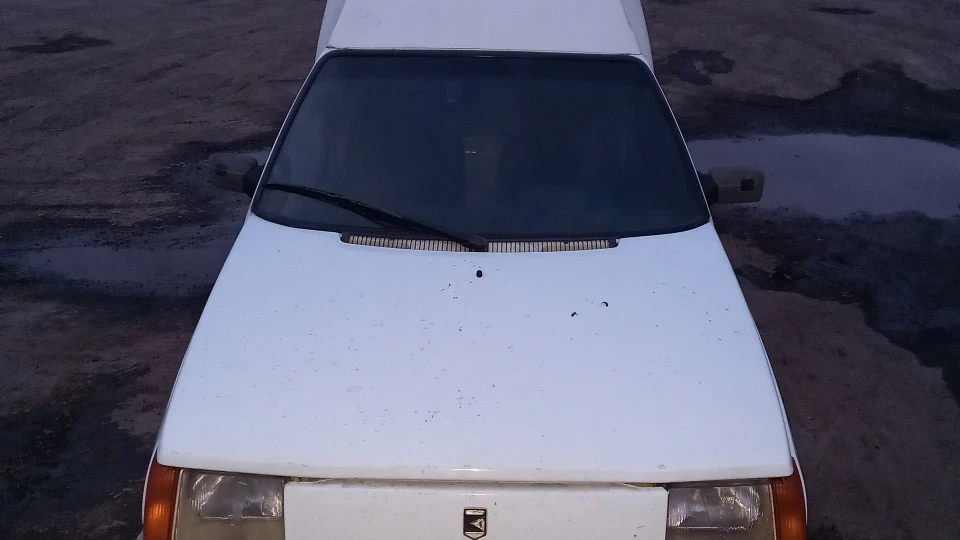 ЗАЗ 1105 Просто Білка 2