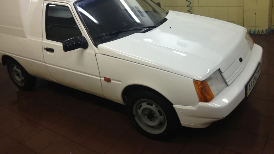 ЗАЗ 1105 Робоча конячка 3