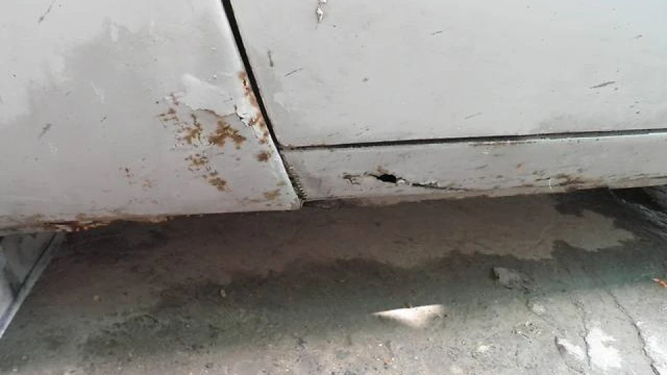 ЗАЗ 1105 іржавозавр 2