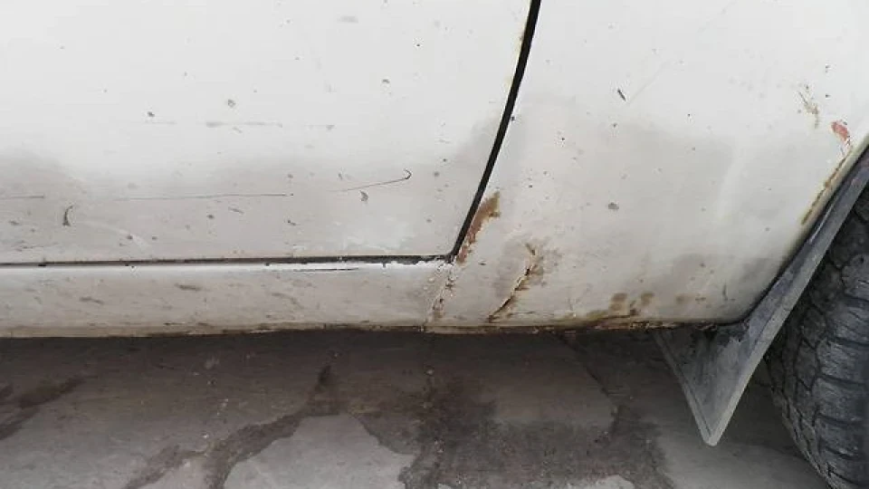 ЗАЗ 1105 іржавозавр 5