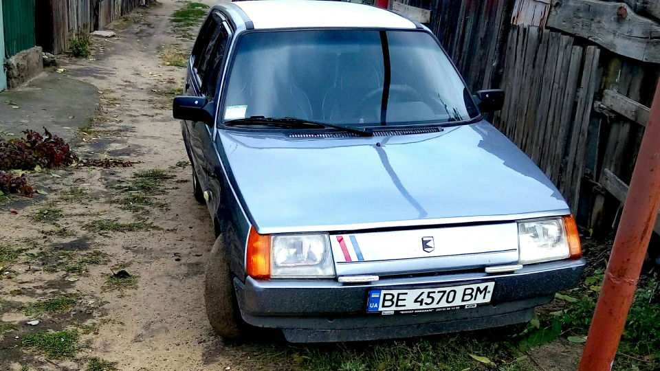 ЗАЗ 1105 Vagonchik