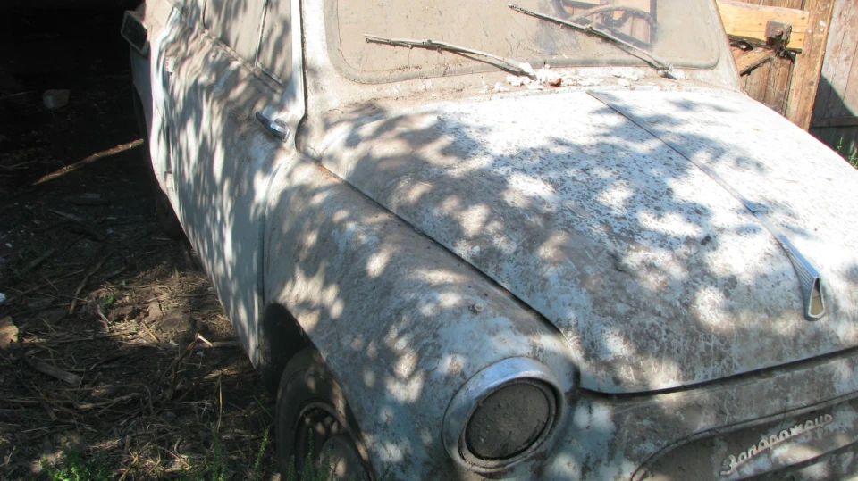 ЗАЗ 965 Оригінал 2