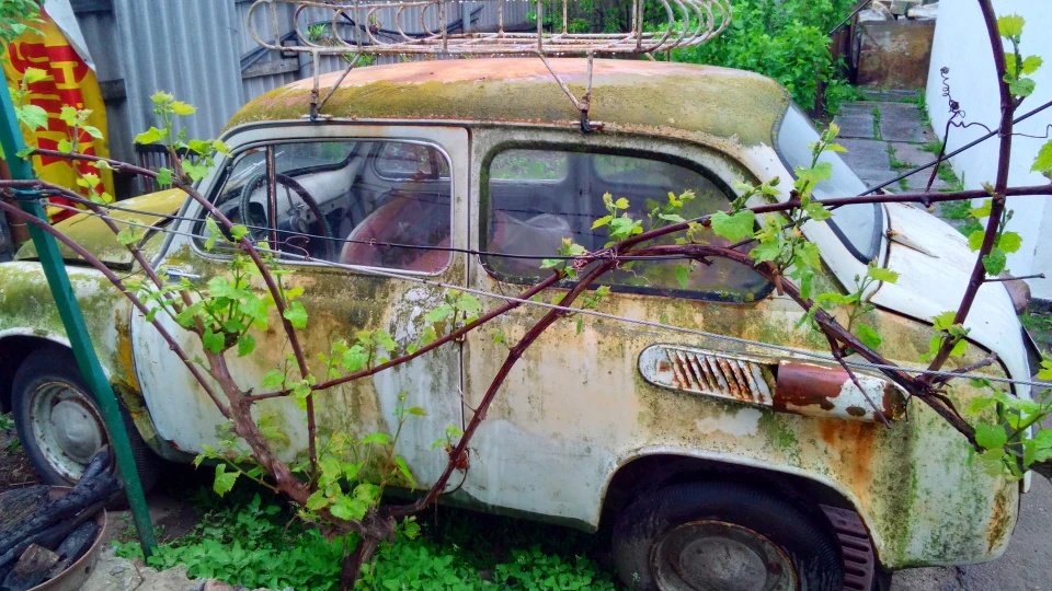 ЗАЗ 965 Шевік 3