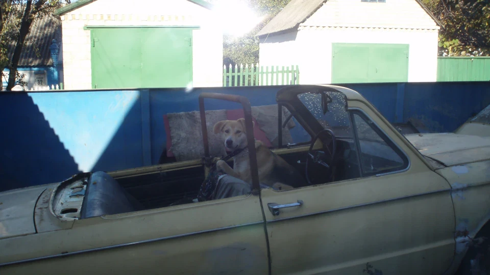 ЗАЗ 968 кабріолет 5