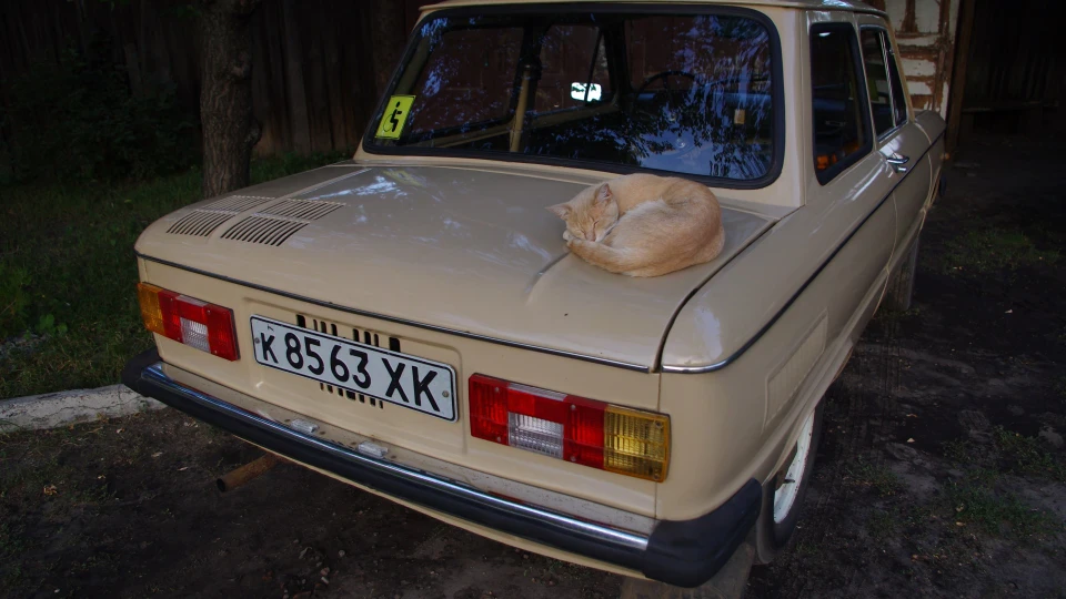ЗАЗ 968 Капучино 4