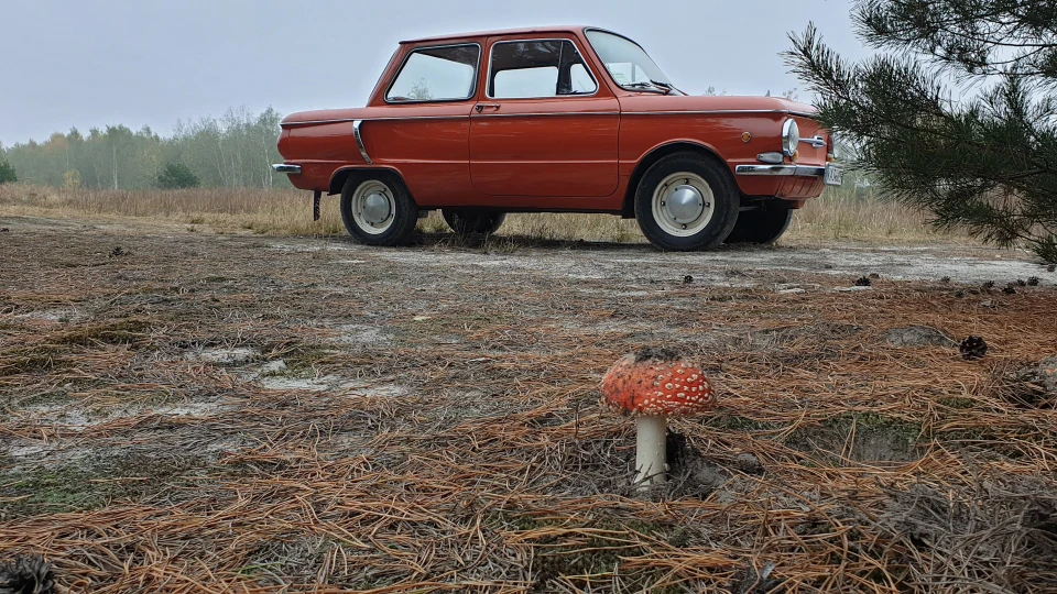 ЗАЗ 968 Мухомор