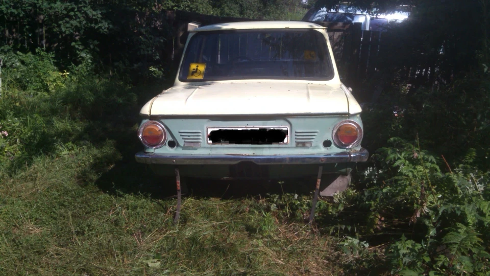 ЗАЗ 968 ЗАЗ Банановий Вухатий 2