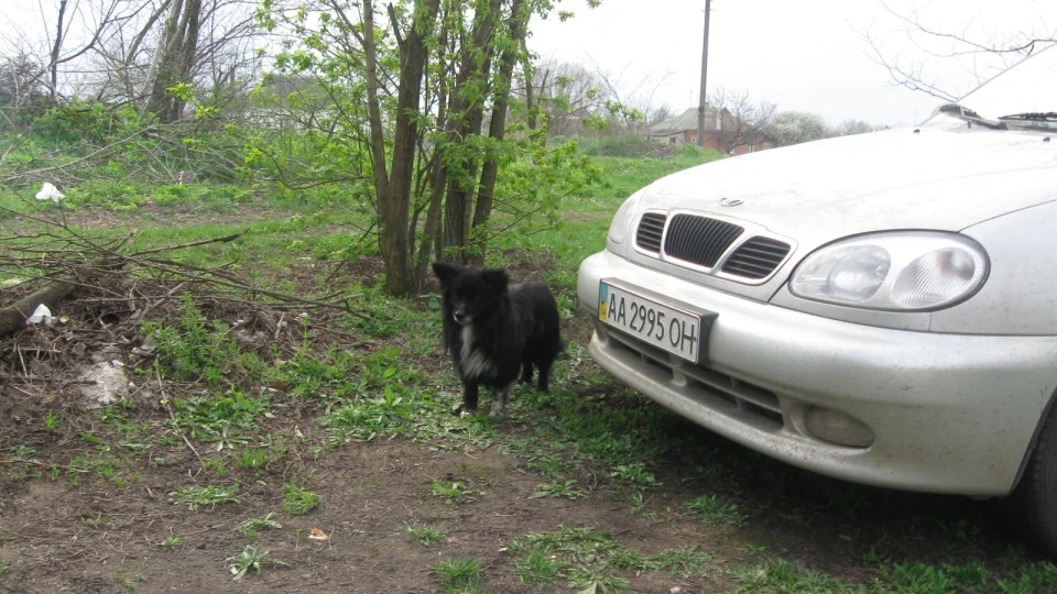 ЗАЗ Lanos