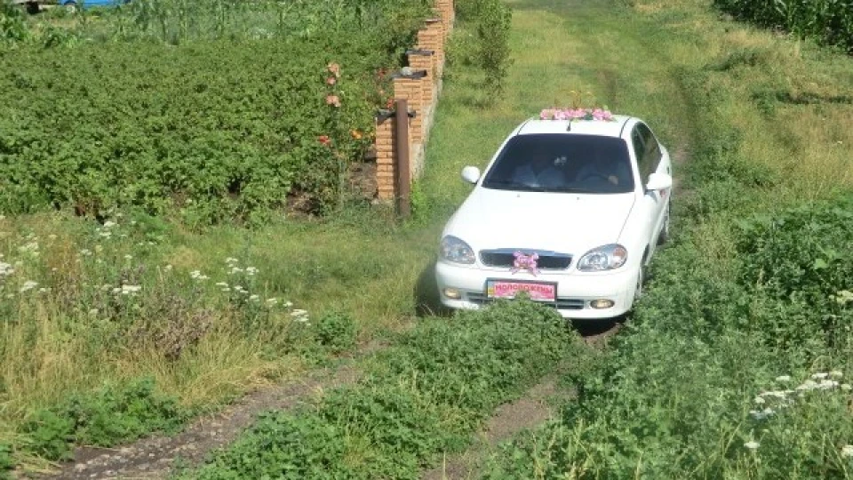 ЗАЗ Ланос БІЛИЙ 2