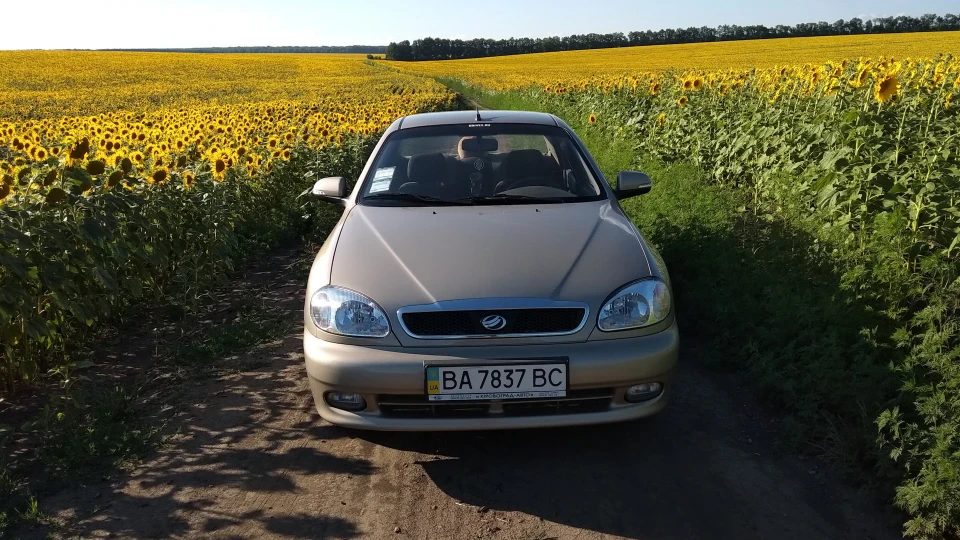 ЗАЗ Sens срібляста мідь 4