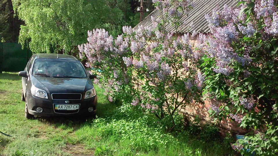 ЗАЗ Vida 1.5 16v