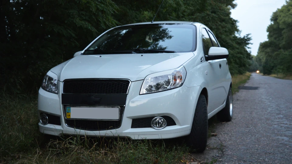 ЗАЗ Vida SNOW WHITE 5